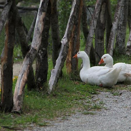 Albergo Lago Verde Pennabilli Dış mekan fotoğraf
