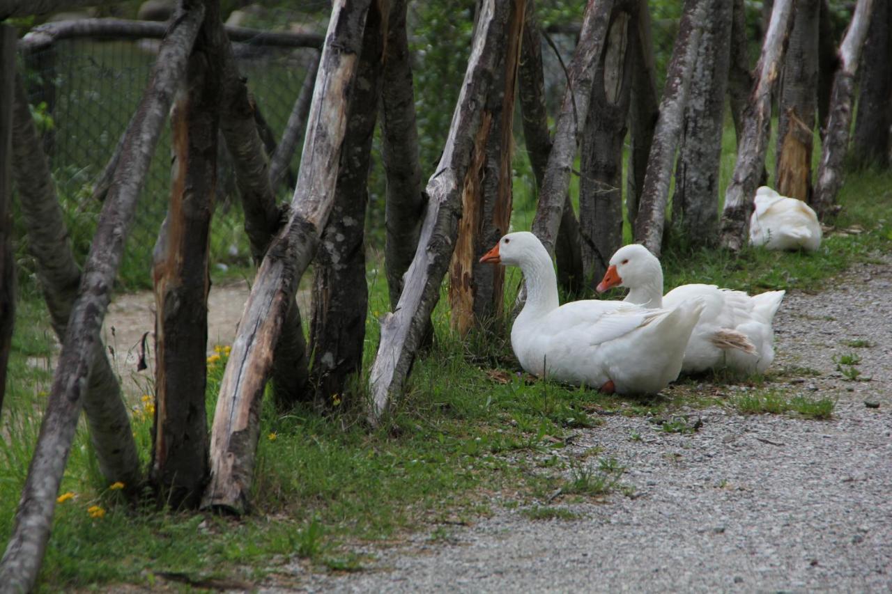 Albergo Lago Verde Pennabilli Dış mekan fotoğraf